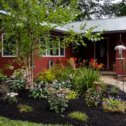 Near Me, Local, WNY, Western New York, Springville, Hamburg, Boston, Orchard Park, West Valley, Glenwood, Eden, Elma, East Aurora, West Falls, North Boston, Landscaping, Mowing, Construction, Outdoor Space, Chevalier, Outdoor Living, Concrete, Patio, Japanese Maple, Perennial, Gardens, Maintenance, Care, Plant, Tree, Lawn, Install, Walkway, Best, Unique, Custom