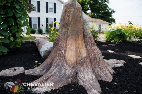 unique fancy WNY western New York Chevalier outdoor living landscape build built design designed custom stone brick durable practical inventive tree stump