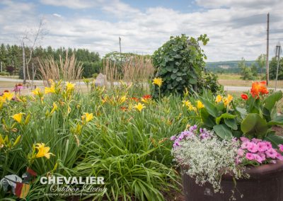 unique fancy WNY western New York Chevalier outdoor living landscape build built color seasons smells scents annual flower plants texture layer beautiful pretty green leaves petals summer spring fall