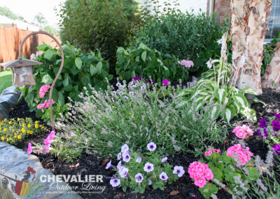 unique fancy WNY western New York Chevalier outdoor living landscape build built color seasons smells scents annual flower plants texture layer beautiful pretty green leaves petals summer spring fall