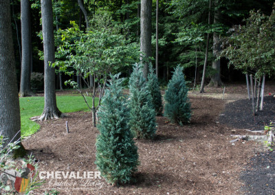 unique fancy WNY western New York Chevalier outdoor living landscape build built tree wood clearing planning removal installation install